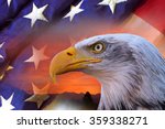 Bald Eagle And A Flag Free Stock Photo Public Domain Pictures