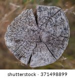 old rotten stump on natural...