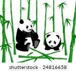 chinese giant panda eating...