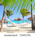 caribbean beach hammock and...