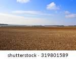 cultivated chalky soil in the...