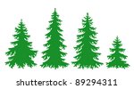silhouettes of fir trees in...
