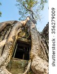 Small photo of Ta Prohm, built by the Khmer King Jayavarman VII as a Mahayana Buddhist monastery and university. Huge trees are blended into the walls, and rocks are hugging the giant roots.