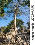 Small photo of Ta Prohm, built by the Khmer King Jayavarman VII as a Mahayana Buddhist monastery and university. Huge trees are blended into the walls, and rocks are hugging the giant roots.