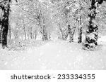 panorama of winter forest with...