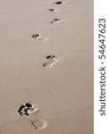 footprints on a beach in wet...