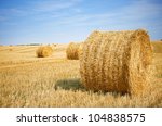 harvested field with straw...