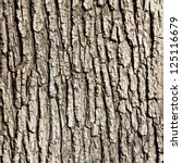 stock-photo-old-wood-tree-texture-background-pattern-125116679.jpg