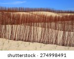 sand dunes conservation area...