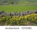 farmland field dry stone wall...