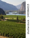 Small photo of Okanagan Vineyard Scenic, British Columbia. Rolling hills of vineyards in front of of Vaseux Lake and the McIntyre Bluffs in the Okanagan Valley, British Columbia, Canada.