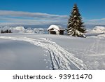 small hut and fir tree on the...