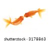 Two Goldfish Kissing