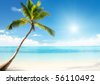 صور شواطىء وبحار  Stock-photo-caribbean-sea-and-coconut-palm-56110492