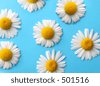 Daisies+background