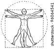 proportions of the human figure da vinci