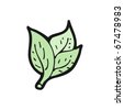 Basil Leaf Clipart