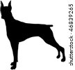 Doberman Silhouette