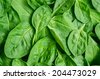 Fashion Is Spinach