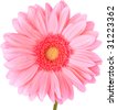 Gerber+daisies+clip+art