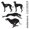 Silhouettes Of Greyhounds Stock Vector Illustration 78216295 : Shutterstock