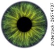 Eye Iris Green