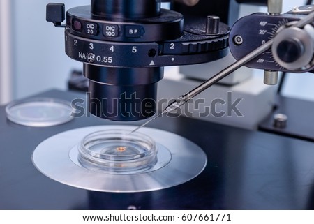pro in vitro fertilization essay pro in vitro fertilization essay