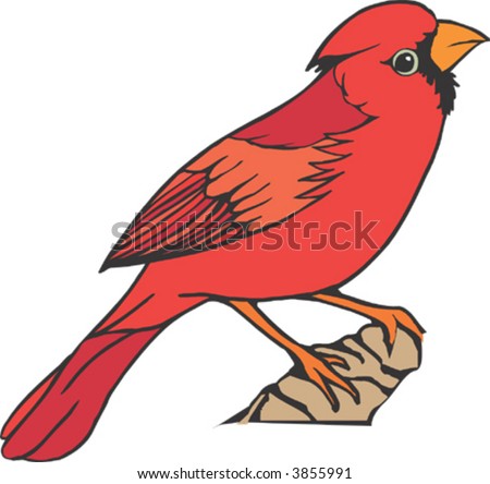 Cardinal Bird Flying Stock Images, Royalty-Free Images & Vectors