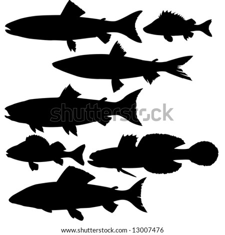 Set Shark Isolated On Blue Background Stock Illustration 340415366 ...