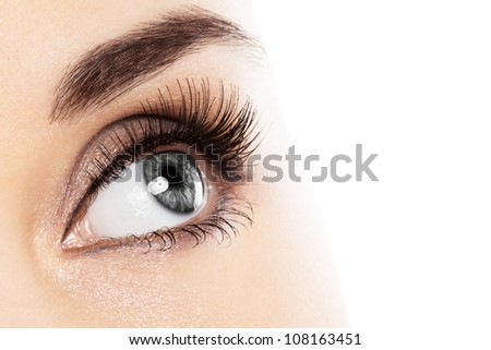 woman eye with long eyelashes. Space for text.