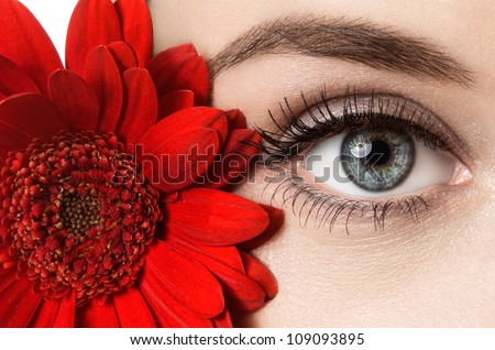 woman eye with beautiful makeup and red flower