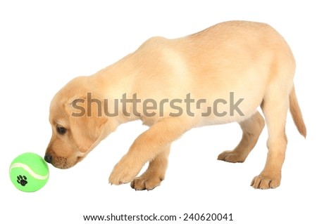 Stock Images, Royalty-Free Images & Vectors | Shutterstock Stock Images, Royalty-Free Images & Vectors | Shutterstock