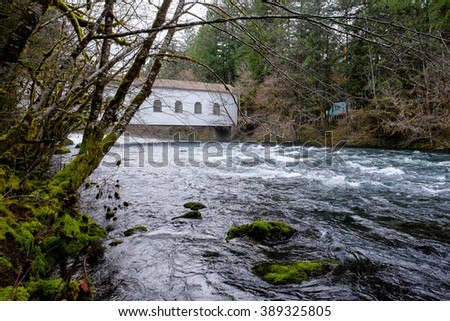 Swingers party mckenzie bridge oregon