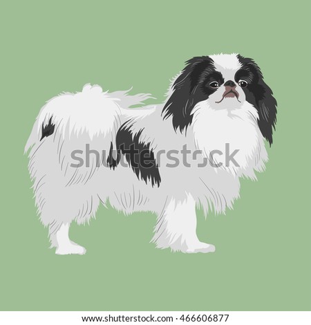 japanese-black-breed
