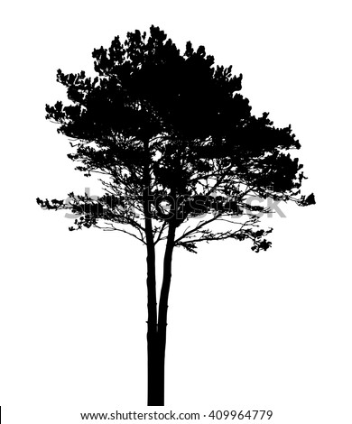 Black Tree Stock Images, Royalty-Free Images & Vectors | Shutterstock