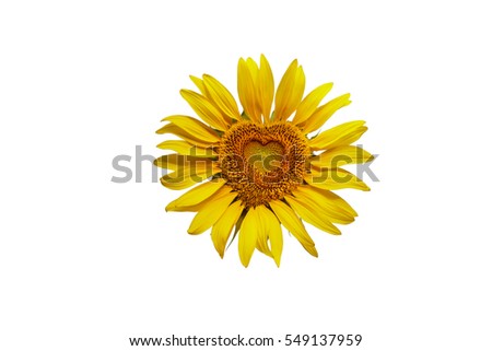 Free Free 180 Clipart Sunflower Heart SVG PNG EPS DXF File