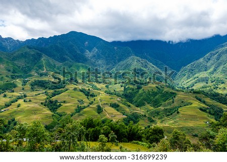 Rice fields on terraced in rainny season at SAPA, Lao Cai, Vietnam