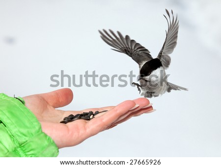 birds landing buddhist single women Birds landing's best 100% free buddhist dating site meet thousands of single buddhists in birds landing with mingle2's free buddhist personal ads and chat rooms. birds landing buddhist single women Birds landing's best 100% free buddhist dating site meet thousands of single buddhists in birds landing with mingle2's free buddhist personal ads and chat rooms.