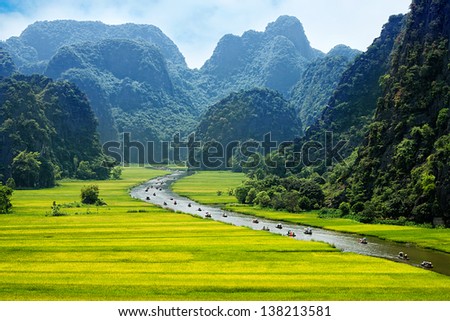 Rice field and river, NinhBinh, vietnam landscapes
