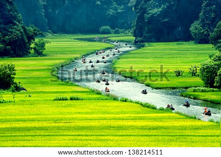 Rice field and river, NinhBinh, vietnam landscapes