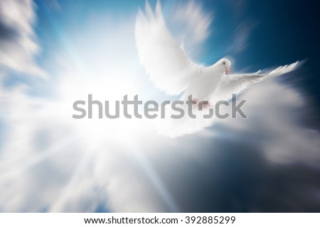 Funeral Background Stock Images, Royalty-Free Images & Vectors ...