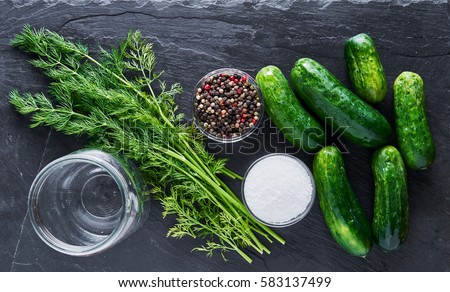 baby cucumbers with dill, sea salt and peppercorns for pickling recipe shot from top down composition