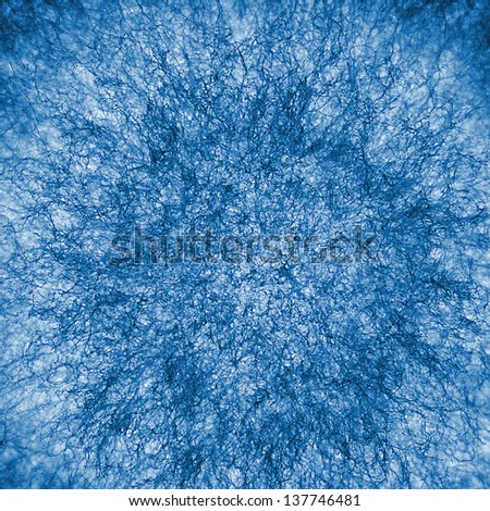 Is aspergillus single or multicellular