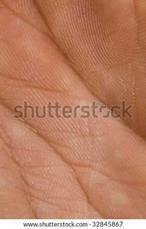 human skin macro stock photo image of care 55342084 macro closeup human palm skin high stock photo 32845867 human skin macro stock photo image of care 55342084 macro closeup human palm skin high stock photo 32845867