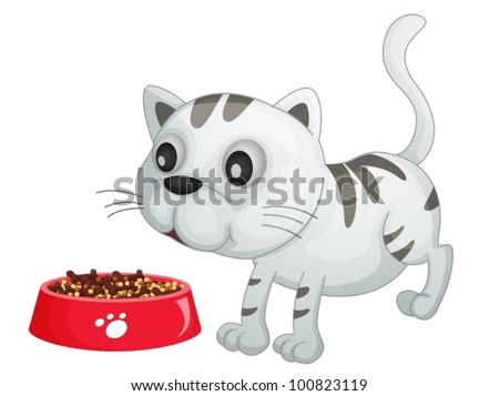 Feeding Cat Stock Images, Royalty-Free Images & Vectors | Shutterstock