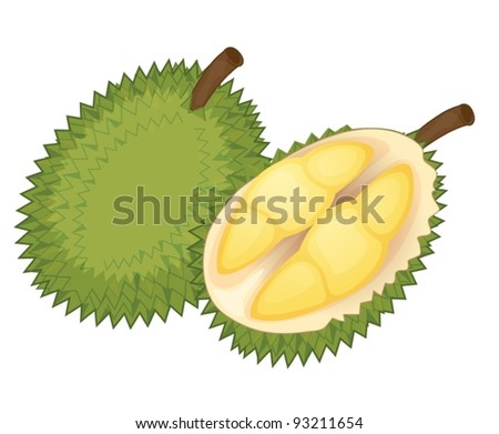 Fruit illustration on white background