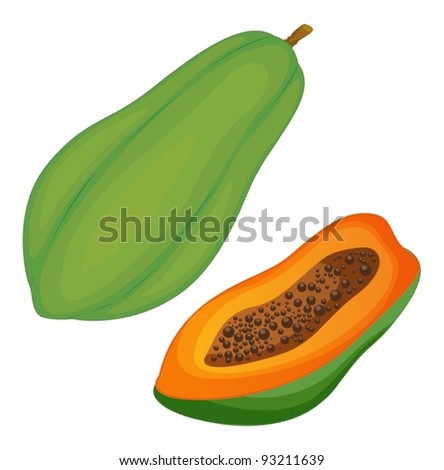 Fruit illustration on white background