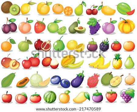 Illustration of a set of fruit