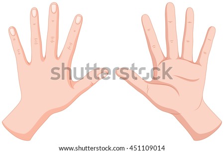 Human Hands Back Front Illustration Stock Vector 451109014 - Shutterstock