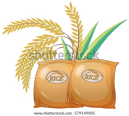 Two bags of rice illustration